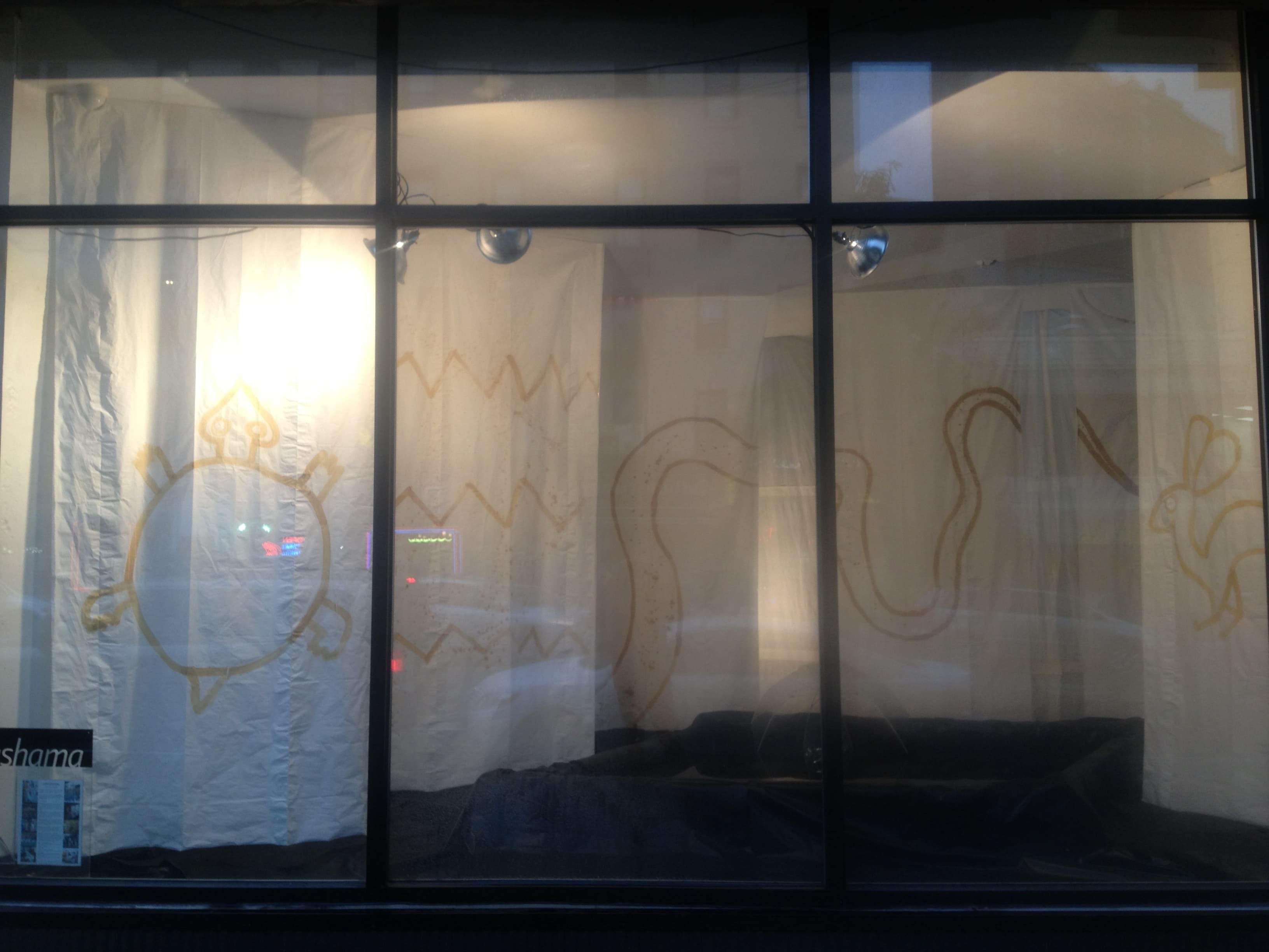 Snapping Turtle || Wishing Well